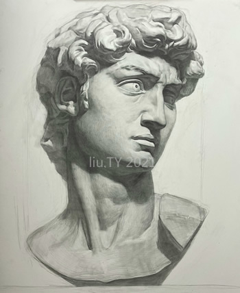 大卫头像写生